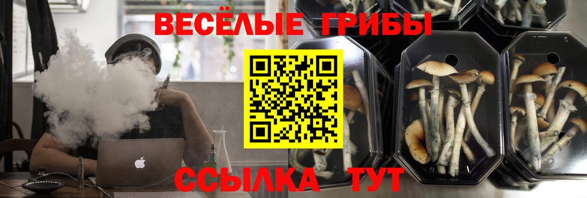 Галлюциногенные грибы мухоморы Ростов-на-Дону